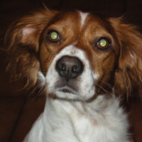 Photo de profil de O'neil
