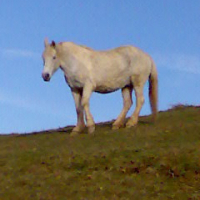 Photo de profil de Mémére