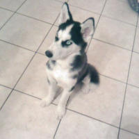 Photo de profil de Maya
