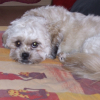 Photo de Calya