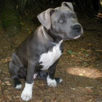 Photo de profil de Ekon