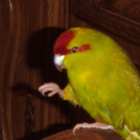 Photo de profil de Beurdi