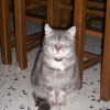 Photo de Mimine