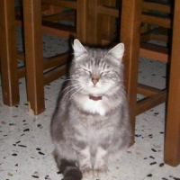 Photo de profil de Mimine
