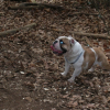 Photo de Zeus1