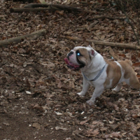 Photo de profil de Zeus1