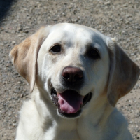 Photo de profil de Vany