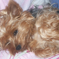 Photo de profil de Agathe