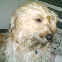 Photo de profil de Titeuf