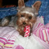 Photo de Crystal