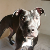 Photo de profil de Tyzen