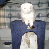 Photo de profil de Trevis