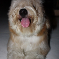 Photo de profil de Bella