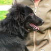 Photo de Cookie