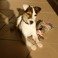 Photo de profil de Bahia
