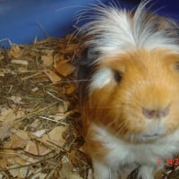 Photo de profil de Mulder