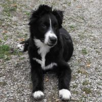Photo de profil de Lilou