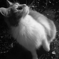 Photo de profil de Themis