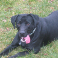 Photo de profil de Sarco