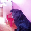 Photo de Daphnnee