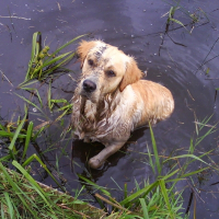 Photo de profil de Max