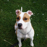 Photo de profil de Doly