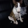 Photo de Louna 