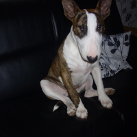 Photo de profil de Louna 