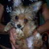 Photo de Lulan