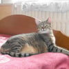 Photo de Fifi