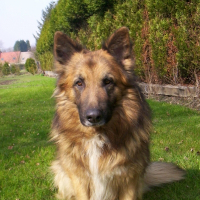 Photo de profil de Rex
