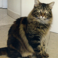 Photo de profil de Bébé legnani