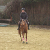 Photo de Kastor