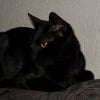 Photo de Diva