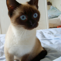 Photo de profil de Capucine