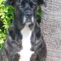 Photo de profil de Prada