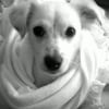 Photo de Daisy (doudoune)