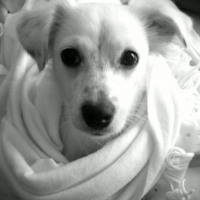 Photo de profil de Daisy (doudoune)