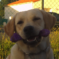 Photo de profil de Lucky