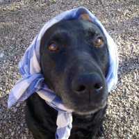 Photo de profil de Zip