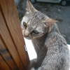 Photo de Bille