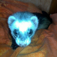 Photo de profil de Lili