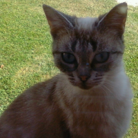Photo de profil de Mina