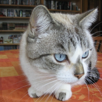 Photo de profil de Lili