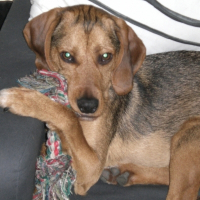 Photo de profil de Sparco