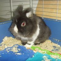 Photo de profil de Léo