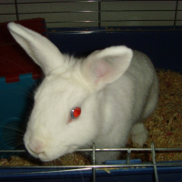 Photo de profil de Léa