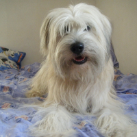 Photo de profil de Bambou