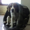 Photo de Dakotah