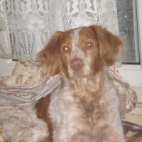 Photo de profil de Platon